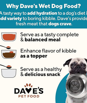 Dave's Pet Food Sensitive Skin Dog Food for Skin and Coat (Chicken & Sweet Potato), Wet Canned, Made in USA, 13.2oz Cans (12 Pack)