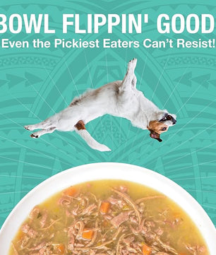 KOHA Pure Shreds Duck Entrée for Dogs, 12.5oz Cans (Pack of 12)
