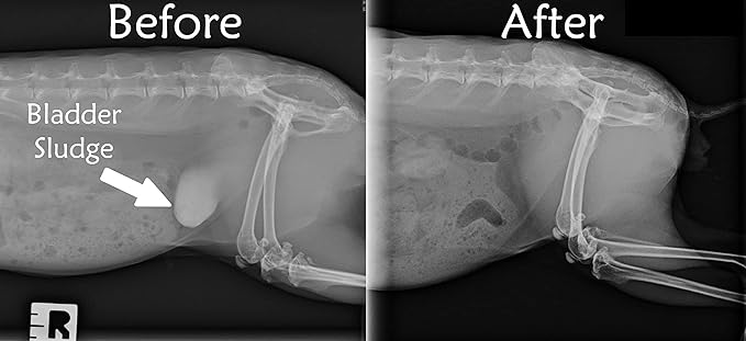 Sherwood Pet Health Adult Rabbit Food Alfalfa Timothy Hay-Based Blend 20 lbs, Grain and Soy-Free for Better Digestion