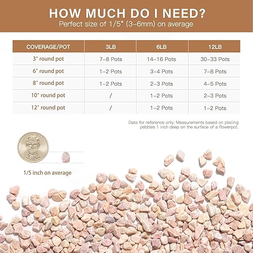 NUPICK 3 lbs Pebbles for Indoor Plants, 1/5 Inch Pea Gravel for Fish Tank, Decorative Rocks for Succulent, Natural River Stones for Vases, Cactus, Landscaping, Bird Bath, Aquarium, Peach