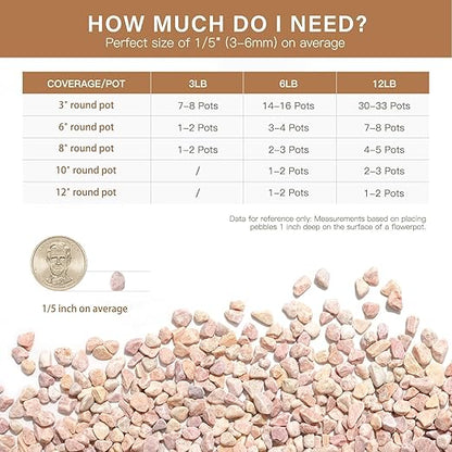 NUPICK 3 lbs Pebbles for Indoor Plants, 1/5 Inch Pea Gravel for Fish Tank, Decorative Rocks for Succulent, Natural River Stones for Vases, Cactus, Landscaping, Bird Bath, Aquarium, Peach