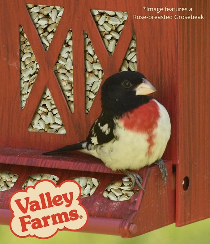 Valley Farms Safflower Seed Wild Bird Food (15 LB) for Outside Feeders, Safflower Bird Seed for Cardinals, Grosebeaks, and Buntings, Cardinal Birdseed for Ourtside Feeders