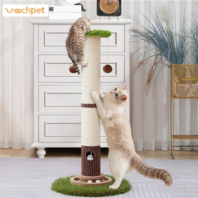 Scratcher Posts for Adults Cats - 33" Tall Cat Scratching Post, Premium Sisal Post for Kittens, Cat Scratcher Tree with Reinforced Stable Base and Interactive Wooden Ball (Green)