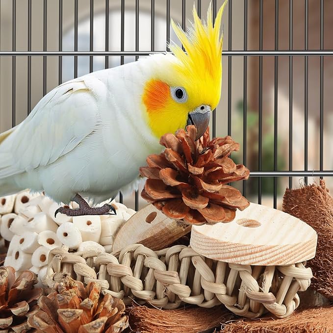 Kyouki Bird Toys Parrot Natural Bird Foraging Box Foot Toys for Parakeets,Cockatiels,Conures,Love Birds,and Other Small to Medium Birds (Large)