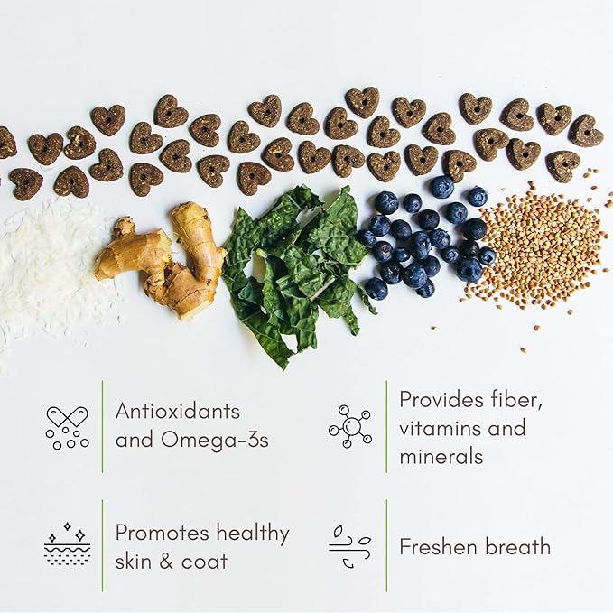 V-dog Vegan Soft and Chewy Wiggle Dog Biscuits - Dog Training Treats - Small, Medium and Large Breeds - Natural Blueberry Flavor Superfoods - 10 Ounce - All Natural - Made in The USA