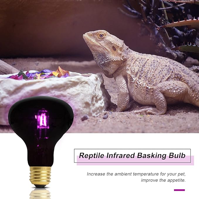 WUHOSTAM 100W Reptile UVA Infrared Moonlight Night Heat Lamp,Basking Spot Bulb Black Glass Cover for Lizard, Chameleon, Snake, Aquarium Reptile, Amphibian,2 Pack