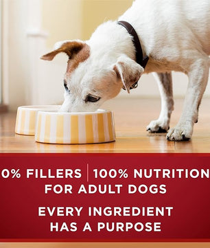 Purina ONE True Instinct Tender Cuts in Gravy With Real Turkey and Venison, and With Real Chicken and Duck High Protein Wet Dog Food Variety Pack - (Pack of 12) 13 oz. Cans