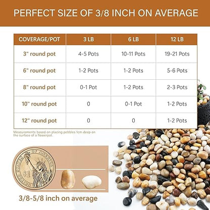 NUPICK 6lb River Rocks for Plants Indoor, 3/8 Inch Mixed Pebbles for Vase Fillers, Decorative Pea Gravel for Fish Tank, Natural Polished Stones for Succulent, Bonsai, Landscaping, Bird Baths