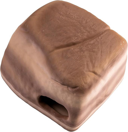 Gecko Cave Reptile Hide – Naturalistic Terrarium Shelter for Geckos, Lizards, Snakes, Bearded Dragons, Tortoises & Other Reptiles