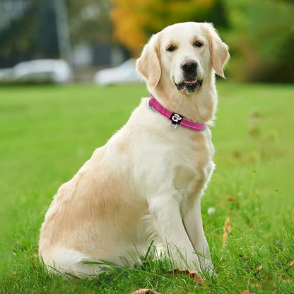 azuza Reflective Dog Collar,Soft Neoprene Padded Pet Collar with ID Tag Ring,Adjustable for Large Dogs,Hot Pink,L