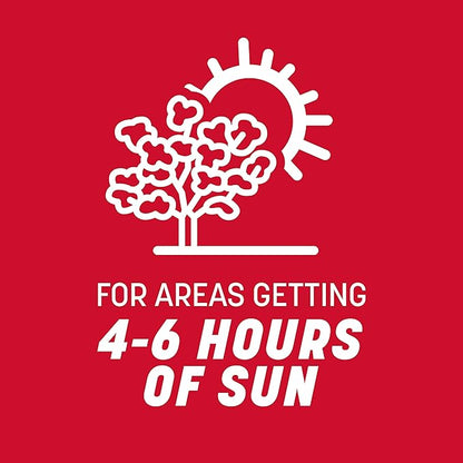 Pennington The Rebels Tall Fescue Grass Seed Mix 3 lb