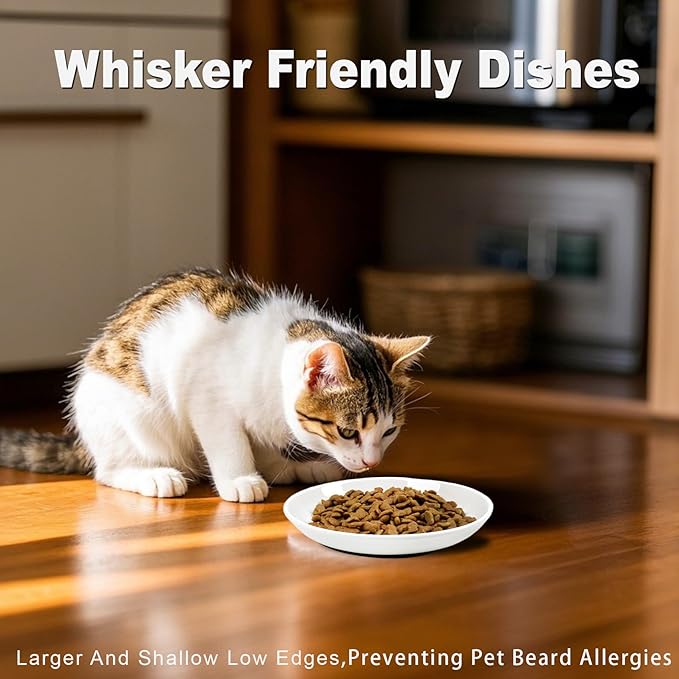 Cat Bowls,No Spill Whisker Fatigue Kittens Food Bowl with Anti-Slip Silicone,Ceramic Cat Dishes for Food Water and Wet and Dry,Shallow Plates Set for Indoor Cats,Small Dogs(6 Pack)