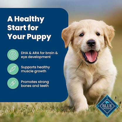 Blue Buffalo Life Protection Formula Puppy Dry Dog Food with DHA and ARA, Made with Natural Ingredients, Lamb & Oatmeal Recipe, 5-lb Bag