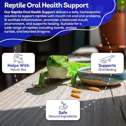 HA4E - Reptile Oral Health Support - Natural Mouth Rot Relief & Oral Hygiene Formula - Supports Gum Health, Comfort & Healing - 300 Tablets