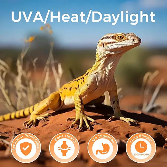 Reptile Heat Lamp 100W, 2 Pack Intense UVA Basking Light Bulbs, Flat-Base Heat Emitter, Heat Lamp Bulb for Reptile Chickens Pet Brooder