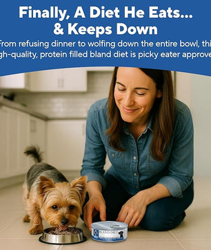 Dave's Pet Food Sensitive Stomach Dog Food (Chicken & Rice), Easy to Digest, Gluten-Free, Digestive Care, Wet Canned, 5.5 oz (Case of 24)