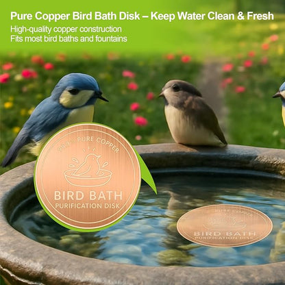 Copper Bird Bath Purification Disk,0.6mm Reinforced 99.9% Pure Copper Cleaning Disk Keeps Water Fresh for Bird Baths, Fountains, Ponds (1 Pack)