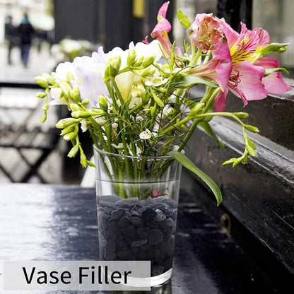 10LB Black Pea Gravel for Landscaping, 3/8 Inch Black Pebbles for Plants Cactus Succulent Fish Tank and Garden Black Stones