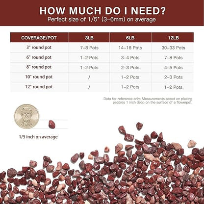 NUPICK 6 lbs Pebbles for Indoor Plants, 1/5 Inch Pea Gravel for Fish Tank, Polished Decorative Rocks for Succulent, Natural River Stones for Vases, Cactus, Landscaping, Bird Bath, Aquarium, Red