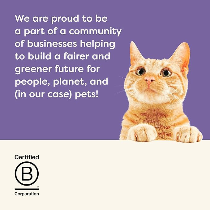 Applaws Natural Wet Cat Food in Gravy, Limited and Natural Ingredients, High Protein with No Artificial Additives, Variety Selection in Gravy (24 x 2.47oz Cans)