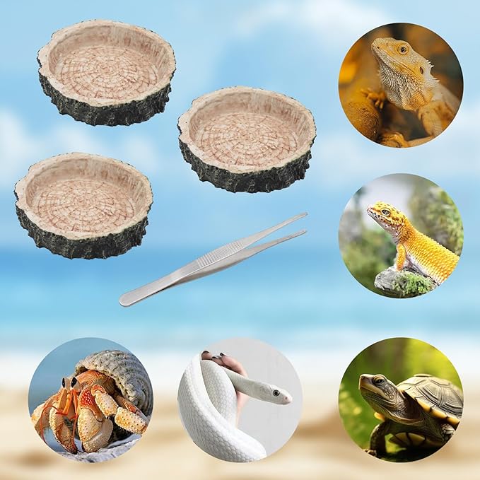 3 Pack Resin Reptile Dish for Food and Water with Tweezer, Hermit Crab Accessories, Hermit Crab Supplies, Hermit Crab Water Bowl, Habitat Accessories for Hermit Crab, Bearded Dragon, Gecko, Tortoise