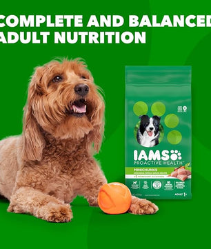 IAMS Proactive Health Minichunks Adult Dry Dog Food with Real Chicken, 3.3 lb. Bag