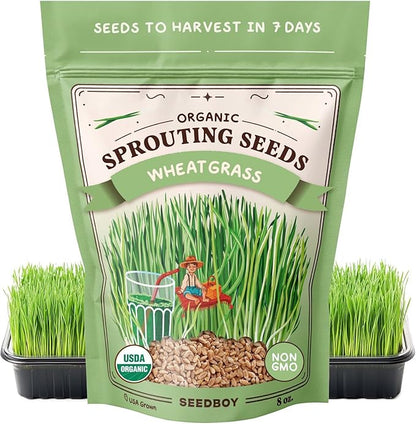 Seedboy Organic Wheatgrass Seeds for Microgreens - Non-GMO, USA Grown Microgreens Sprouting Seeds Mix (8 oz) (Hard Red Spring Wheatgrass)