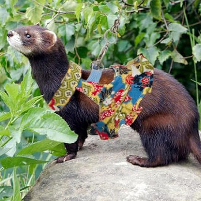 3 Sets Squirrel Leash and Harness Set,Traction Rope Strap, Ferret Harness Vest, Adjustable Flora Small Animal Harness Vest for Ferret, Dwarf Chinchilla, Guinea Pig, Fancy Rat (Medium)