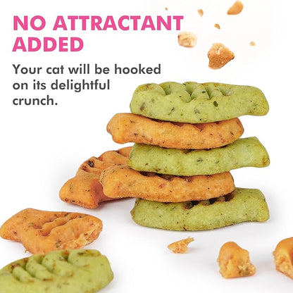 Catnip Cat Treats, Chicken and Salmon Flavor Cat Snacks, Training Biscuits Treats for Cats, Crunchy Fish Shape Adult Cat Biscuits, 16 oz