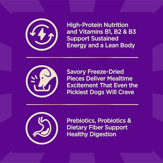 Wellness CORE+ Dry Dog Food with Freeze Dried Pieces, Large Breed, Wholesome Grains, High Protein, Natural, Chicken & Turkey Recipe, (20-Pound Bag)