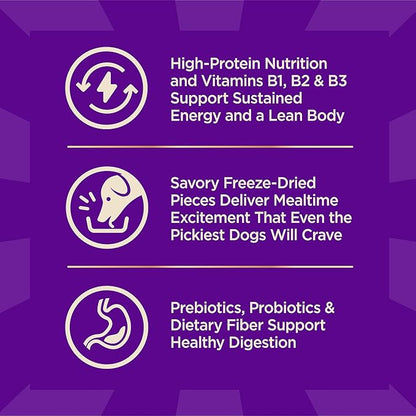 Wellness CORE+ Dry Dog Food with Freeze Dried Pieces, Large Breed, Wholesome Grains, High Protein, Natural, Chicken & Turkey Recipe, (20-Pound Bag)