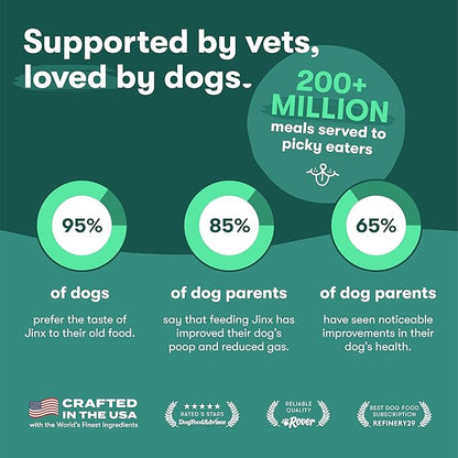 Jinx Premium Wet Dog Food Cans, Variety Pack - Salmon & Chicken Pate - Grain-Free Canned Dog Food Pate & Topper with Real Ingredients & No Fillers - All Life Stages, Breeds & Sizes - 12-Pack, 13 Oz