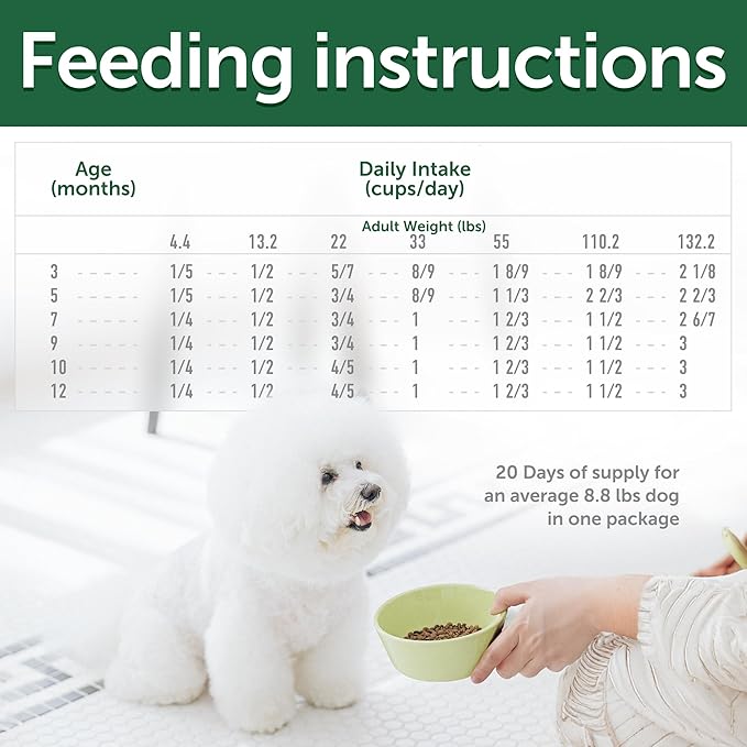 Nature's Protection High Protein Puppy Food Dry - Grain Free Dog Kibble for Small & Large Breed Dogs with Light Fur - Up to 4 Month Puppy or Mother (Superior Care - Salmon, 3.3 lb)