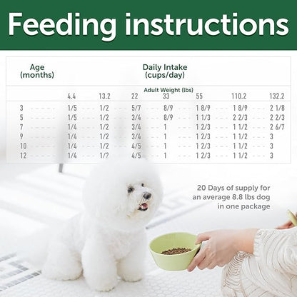 Nature's Protection High Protein Puppy Food Dry - Grain Free Dog Kibble for Small & Large Breed Dogs with Light Fur - Up to 4 Month Puppy or Mother (Superior Care - Salmon, 3.3 lb)