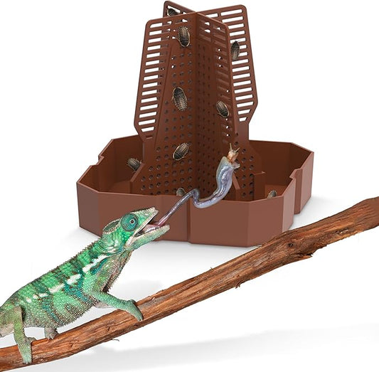 Chameleon Feeding Bowl for Reptile Terrarium, Climbable Design for Reptile to Hunt, Suitable for Feeding Lizards, Bearded Dragons, Geckos, Guardians, Frogs, Reddish Brown, Small