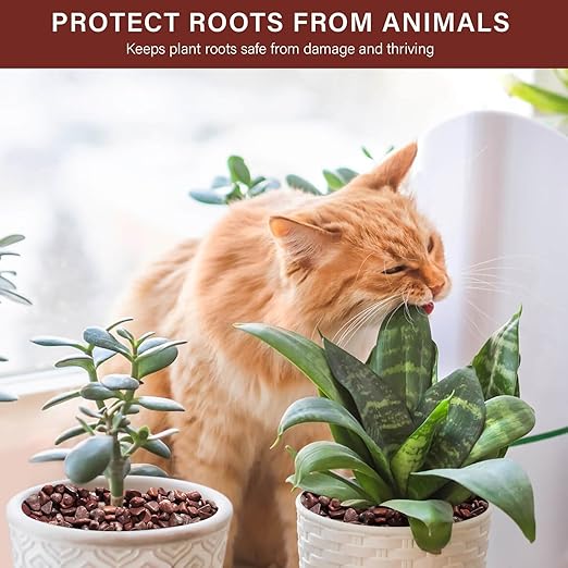 NUPICK 3 lbs Pebbles for Indoor Plants, 3/8 Inch Pea Gravel for Fish Tank, Polished Decorative Rocks for Succulent, Natural River Stones for Vases, Cactus, Landscaping, Bird Bath, Aquarium, Red