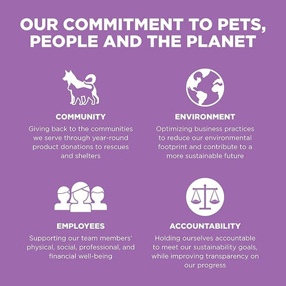 Go! Solutions Carnivore, Grain-Free, Protein Rich Dry Cat Food, Chicken, Turkey and Duck Recipe, 3 lb Bag