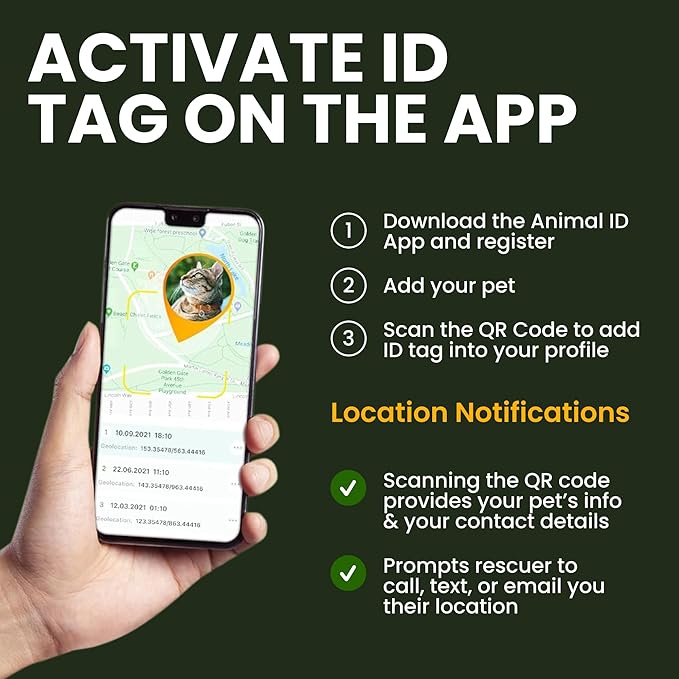 BRONZEDOG Leather Cat Collar with Removable Bells Non Breakaway Kitten QR Tag for Girl Boy (9" - 12" Cats/Mini Dogs, Black & Gold)