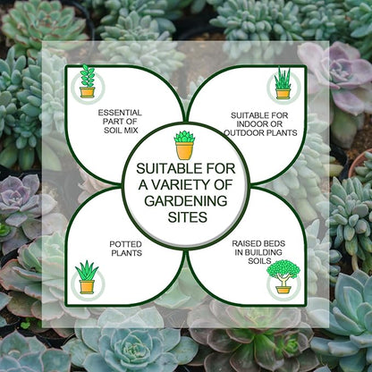 2 LBS Green Pea Gravel, Natural Succulent and Cactus Gravel Pebbles, Pebbles for Indoor Plants, Natural Gardens Mulching, for Houseplants, for Aquarium Gravel, to Maintain Soil Aeration(4-6mm)