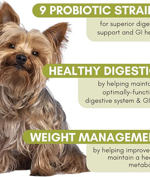Wholistic Pet Organics WholeBiotics - Daily Dog Probiotics for Digestive Health Support & Immune Boost - 9 Strains - Prebiotics & Probiotics for Dogs & Cats - Gut Health for Dogs - 1 Oz - 28 Scoops