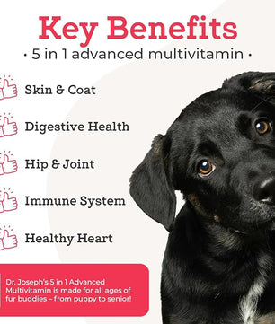 Dr. Joseph's VetPro Complete Multivitamin Dog Supplement, 120 Count (Large Dog 60 Day Supply), 5in1 Chew with Vitamins, Enzymes & Nutrients, Hip & Joint Health, Immune System & Allergy Support