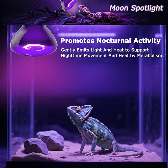 60W Reptile Night Light Bulb – 2.5" Small Purple Moonlight UVA Heat Lamp for Bearded Dragons, Lizards, Snakes, Chameleons, Amphibians, Turtles – Indoor Terrarium Basking Lamp, 2-Pack