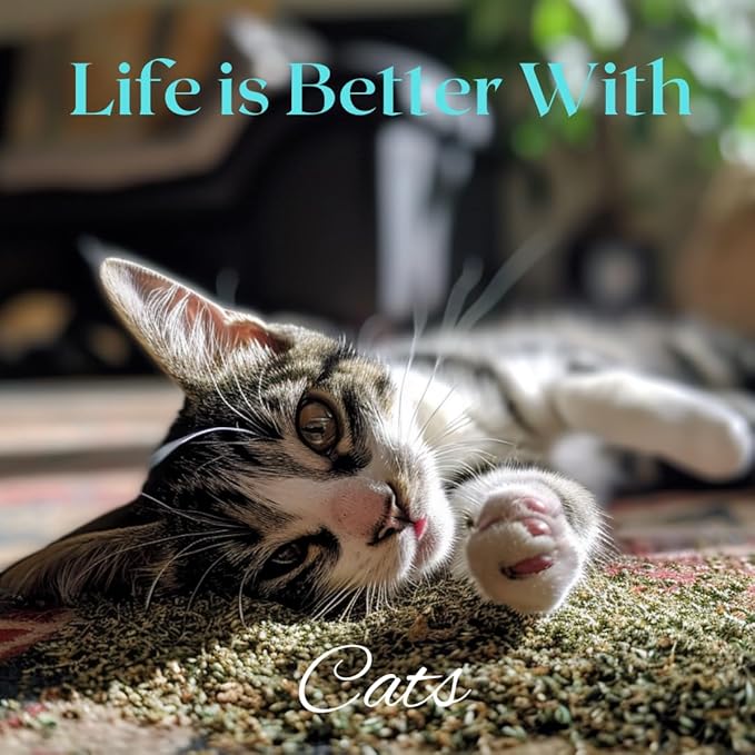 Catnip for Cats – 1oz Jar - 100% Essential Natural Cat Nip Herb Resealable Jar - Fresh Aroma Stimulates Activity & Enhancing Play for Indoor Cats - Great for Cat Nip Toys, Play & Training
