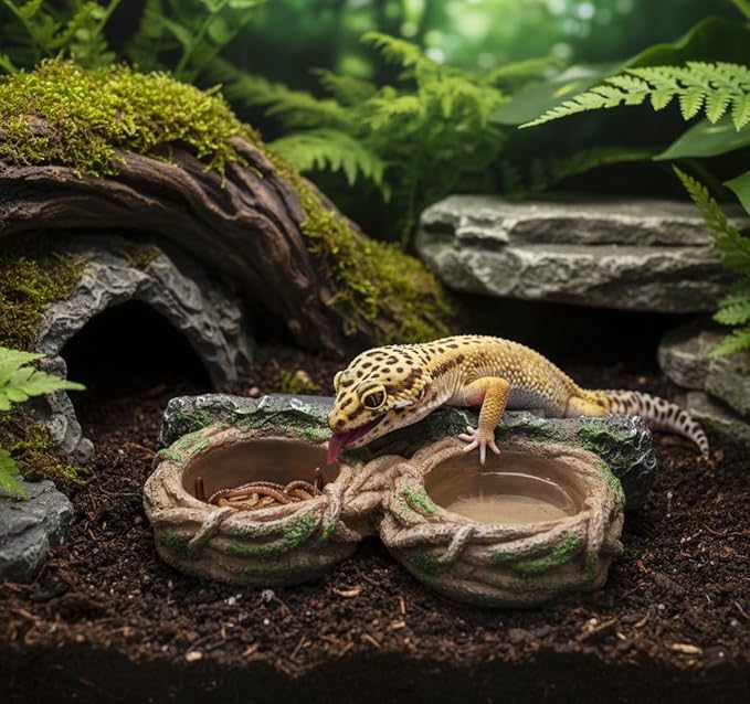 Magnetic Reptile Feeding Ledge, Gecko Feeder Ledge with One Piece Cup, Hollow Vine Food Dish, Reptile Water Bowl for Bearded Dragon Lizard Snake