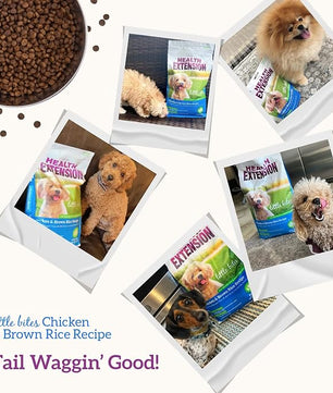 Health Extension Little Bites Dry Dog Food for Small Breeds, Chicken & Brown Rice Recipe, with Probiotics & Superfoods for Digestion & Coat Health, 18 lb Bag (Pack of 1)