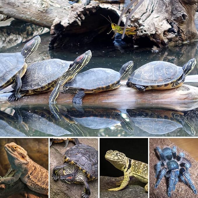 Extra Long Handle Aquarium Tweezers Serving Tongs Feed clamp,2 Pack Stainless Steel Straight and Curved Tweezers Set for Fish Tank Plants Reptile Feeding Tongs（15 Inchs）