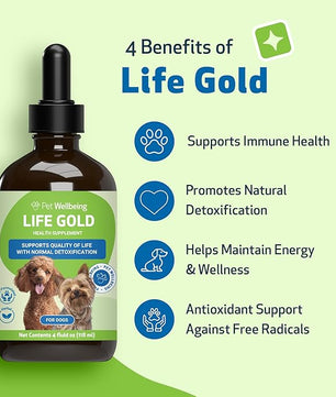 Life Gold for Dogs - Supports Detoxification, Immune System Health, Antioxidants - Vet-Formulated Herbal Supplement – 4 oz (118 ml)