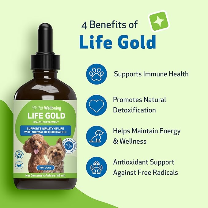 Life Gold for Dogs - Supports Detoxification, Immune System Health, Antioxidants - Vet-Formulated Herbal Supplement – 4 oz (118 ml)