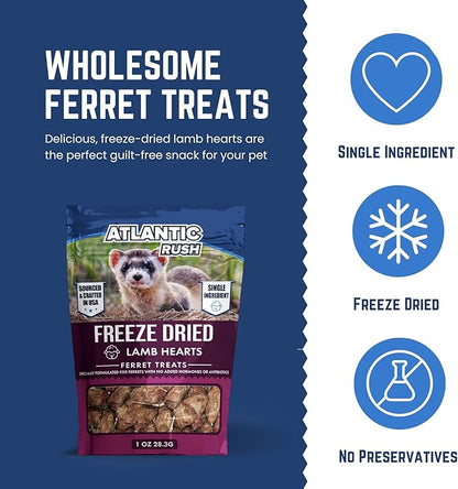 Atlantic Rush Freeze Dried Small Pet Treats - Resealable Bag of Turkey Heart Treats for Ferrets - Ferret Snacks - Single Ingredient Ferret Food with No Preservatives Or Fillers- Small Animals Treats