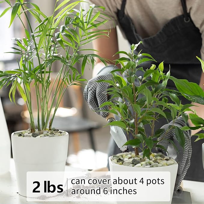 2LB Succulent and Cactus Pebbles, 1/5 Inch Jade Natural Decorative Polished Stones, River Rocks for for Indoor Plants, Vases, Planters and Outdoor Gardening